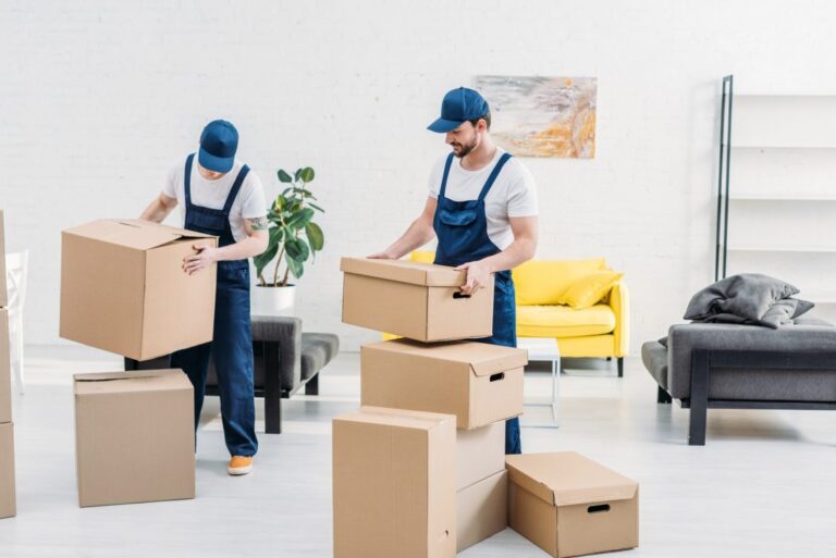 How Professional Movers Support Stress-Free Moving Experiences