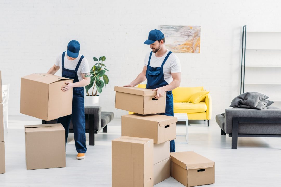 How Professional Movers Support Stress-Free Moving Experiences