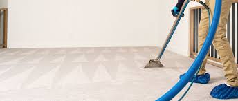What to Expect From a Carpet Cleaning Service