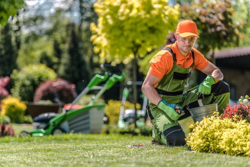 When to Schedule Seasonal Lawn Fertilizer Service